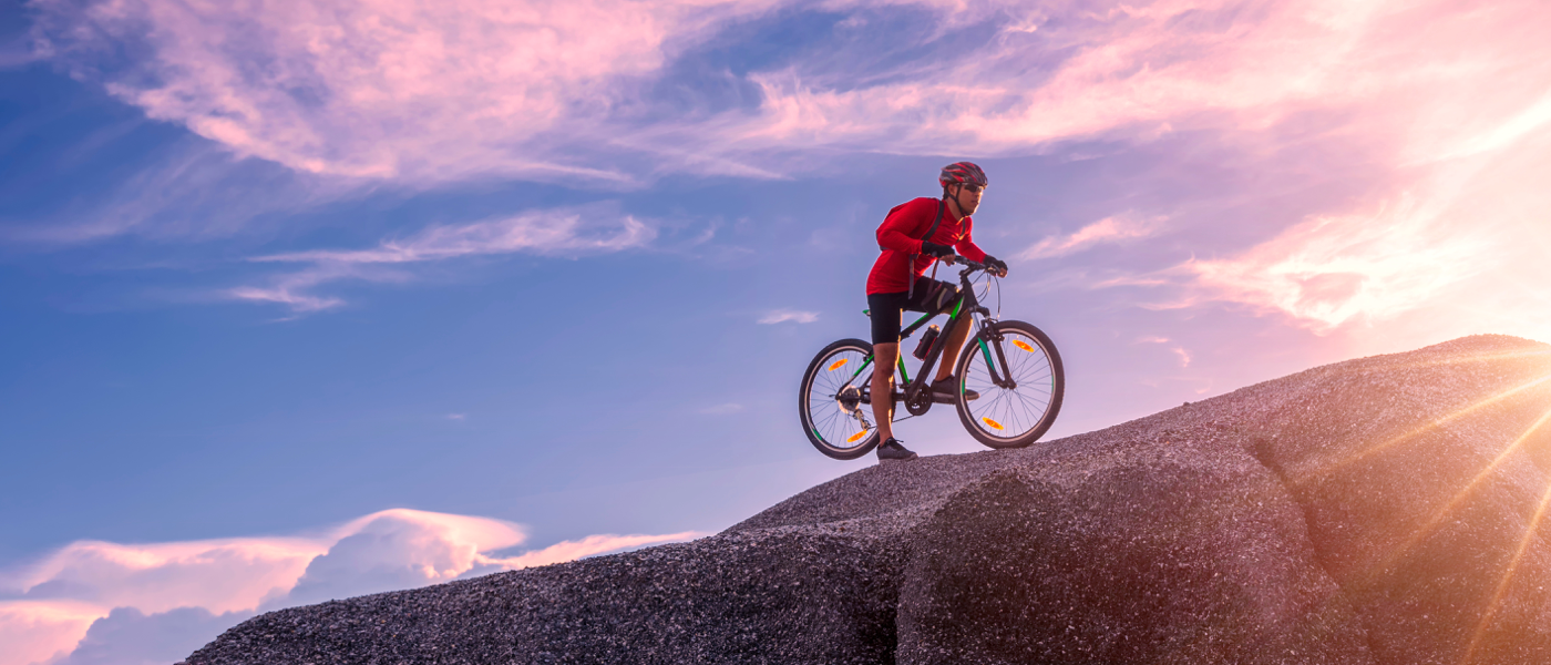 دوستاران حیوان خانگی