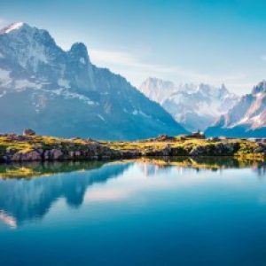 لوگوی گروه از دوستاران طبیعت